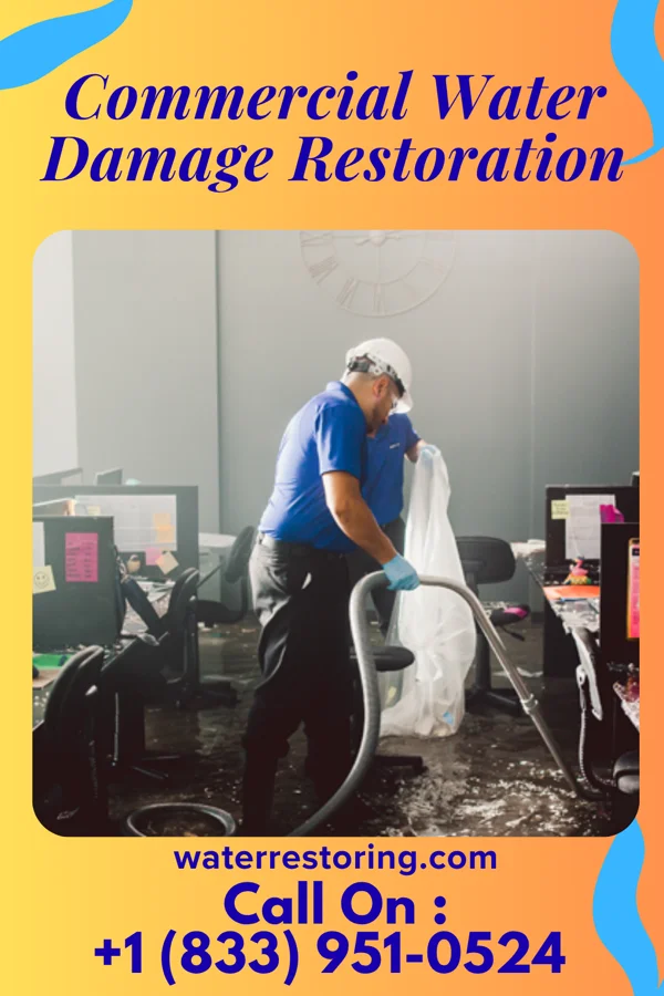 Commercial Water Damage Restoration in La Homa, TX