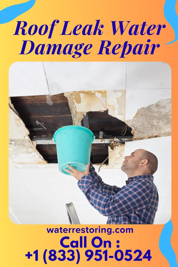 Roof Leak Water Damage Repair in La Homa, TX